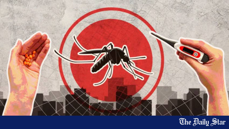 Dengue control efforts in Dhaka