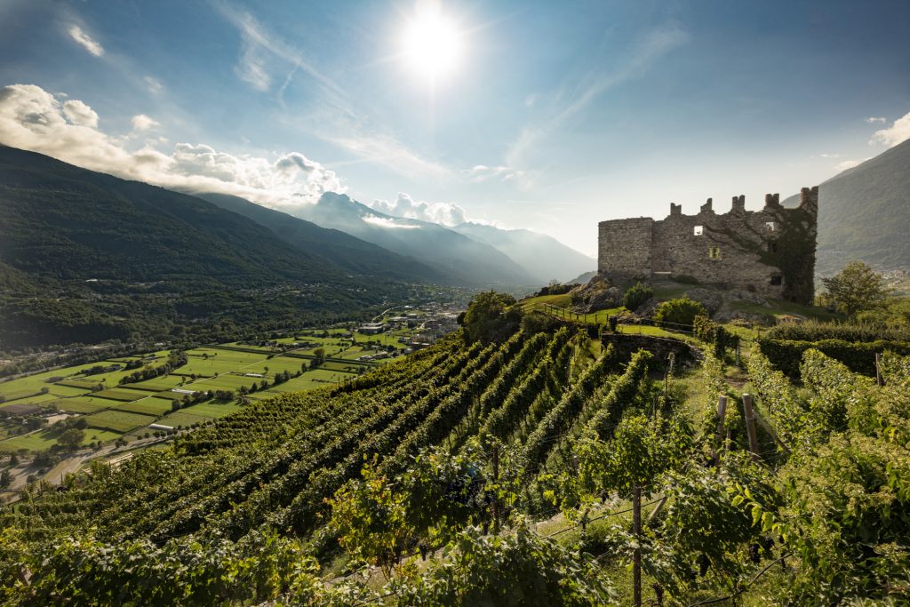 Image of Nino Negri Castello di Grumello wine bottle, part of Enotria's new producer partnerships