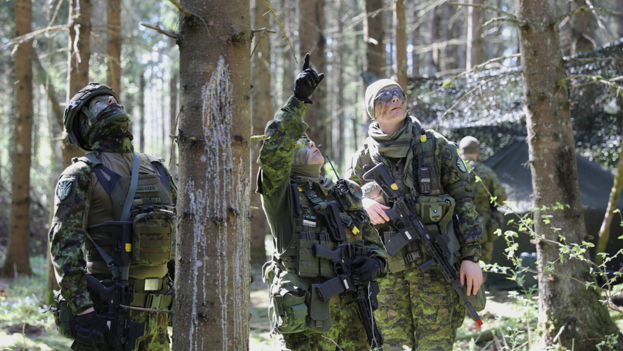 Image regarding Estonia's shift to drones