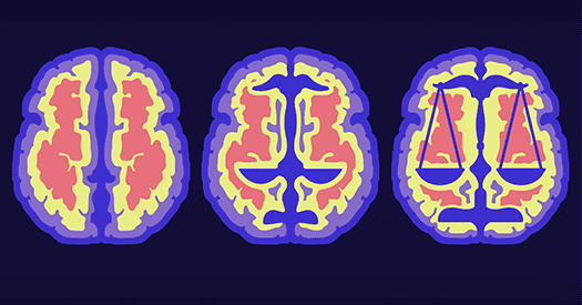 Article header from The Transmitter regarding neurodata ethics