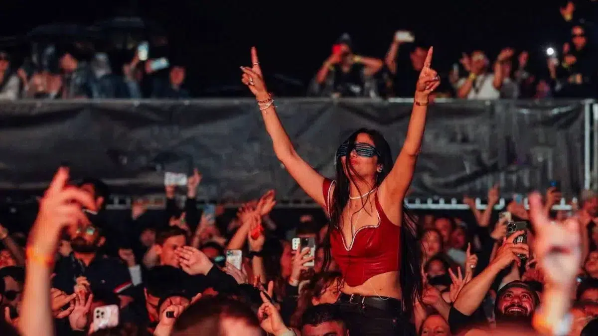 Concert crowd