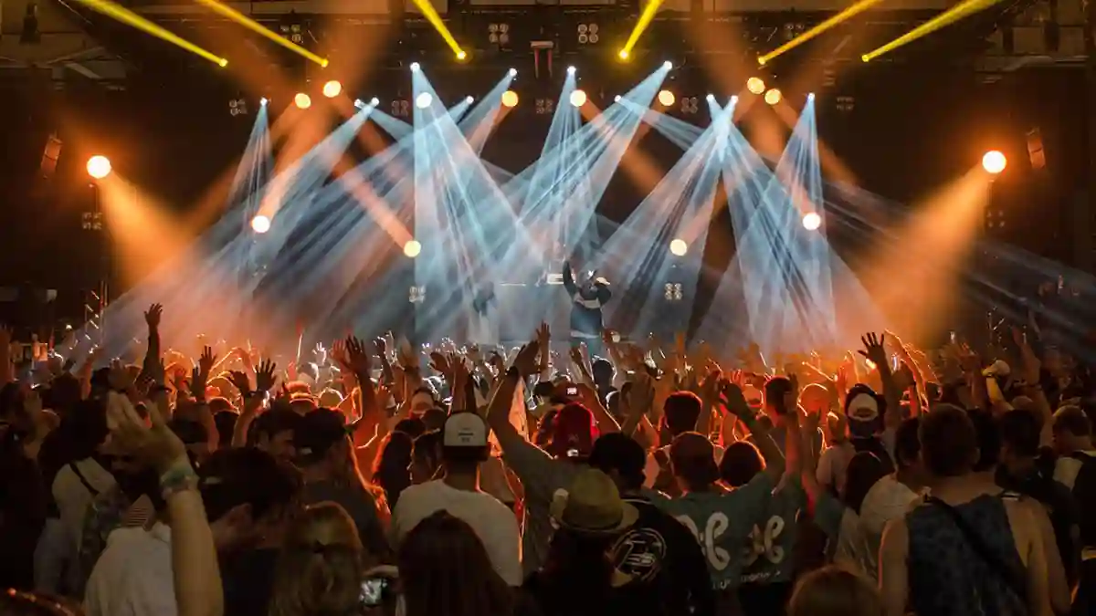 Concert audience