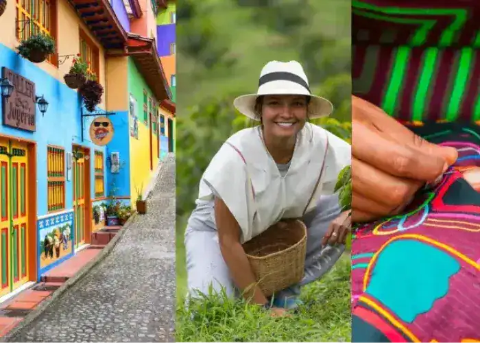 Medellín digital nomad workspace story