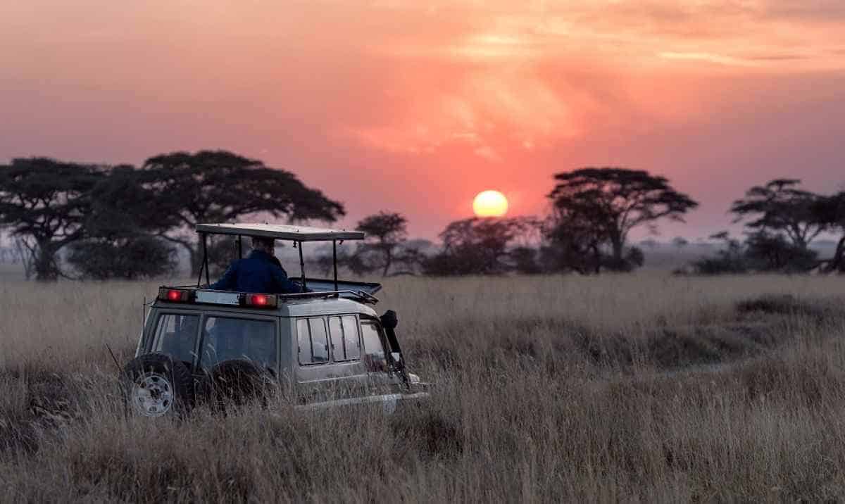 Safari vehicles in Maasai Mara