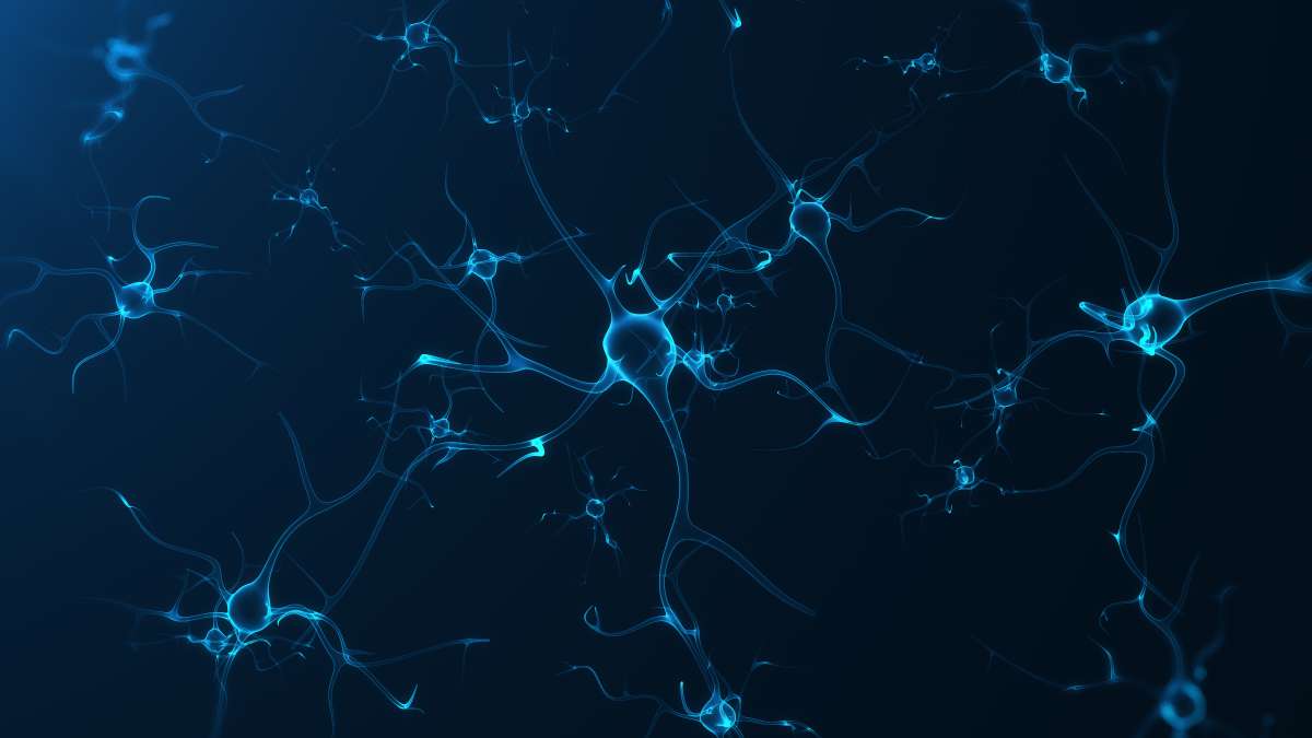 UCLA Health study on rapamycin-led reversal of autism-like brain changes