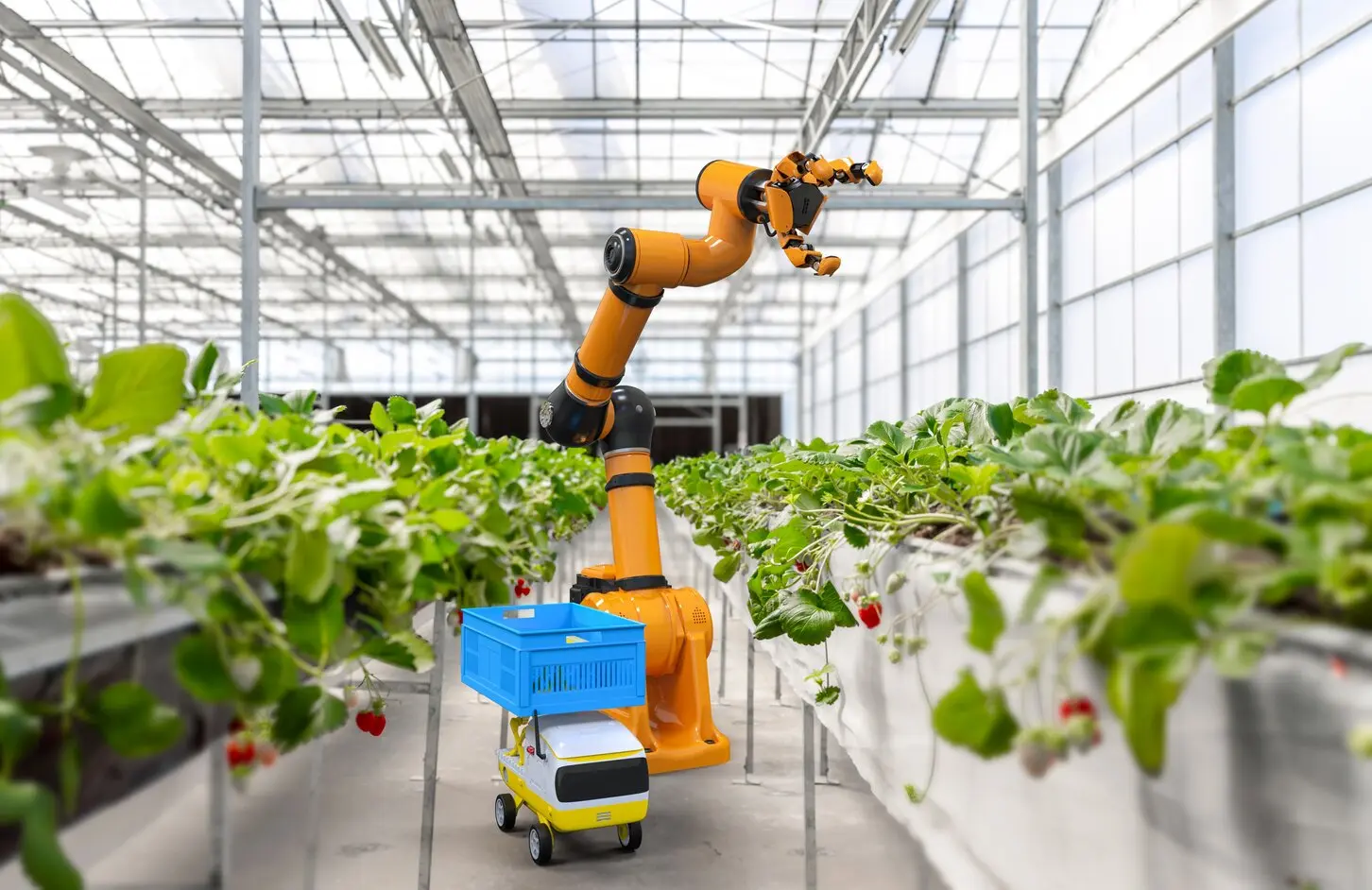 UK Robotics Funding