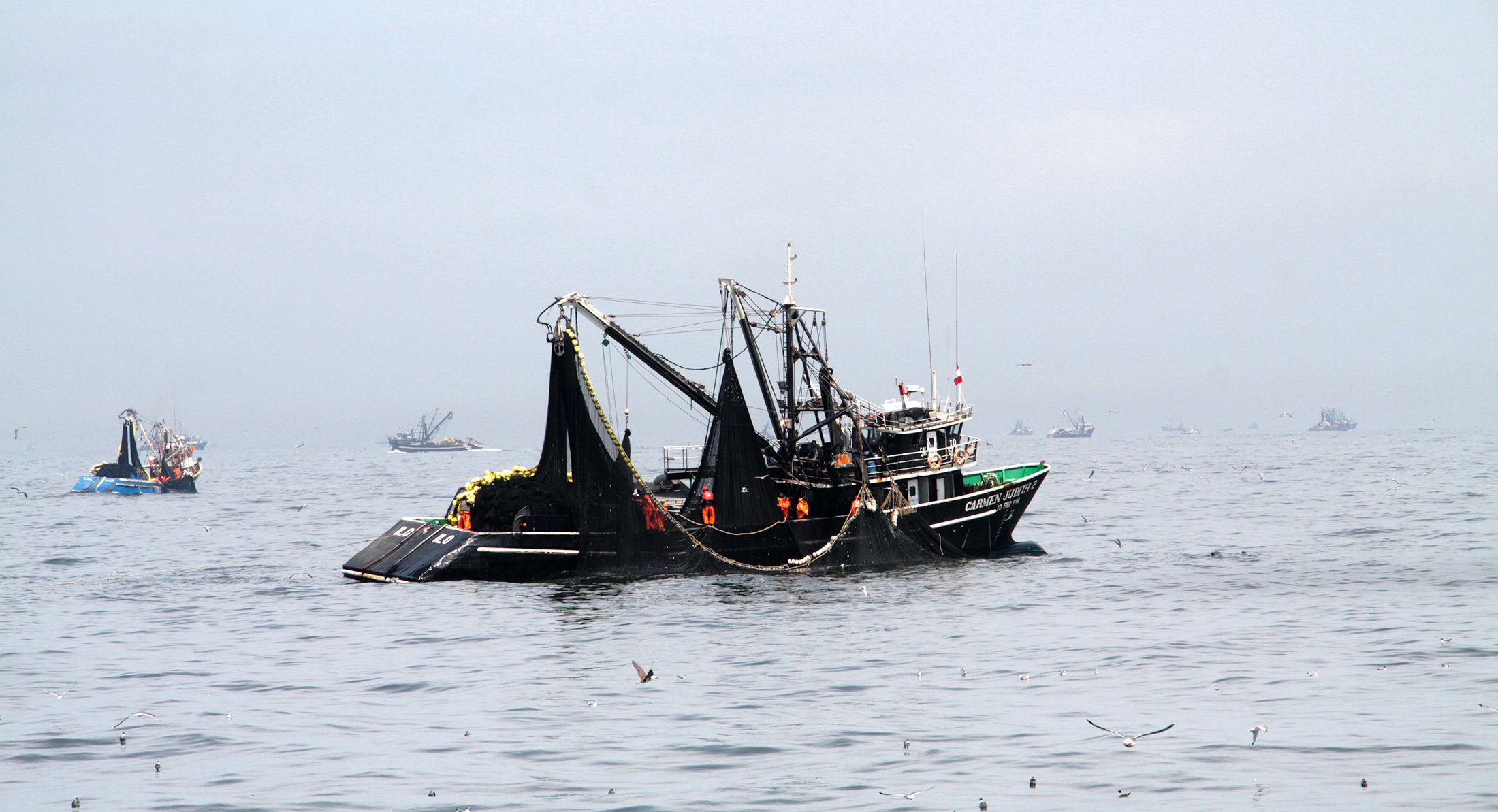 Anchoveta fleet at a Peruvian port during the 2026 season