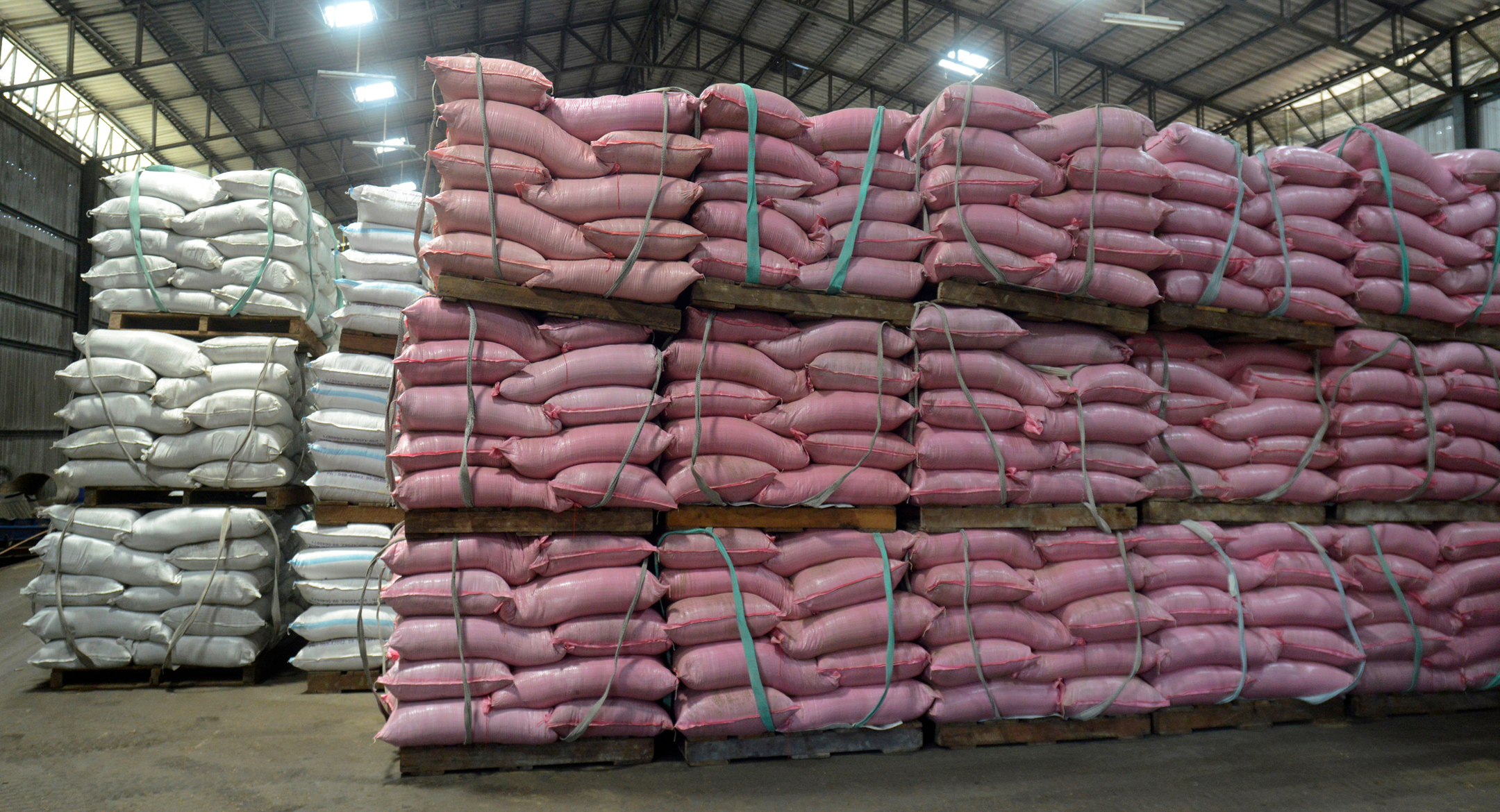Undercurrent News analysis on fishmeal prices