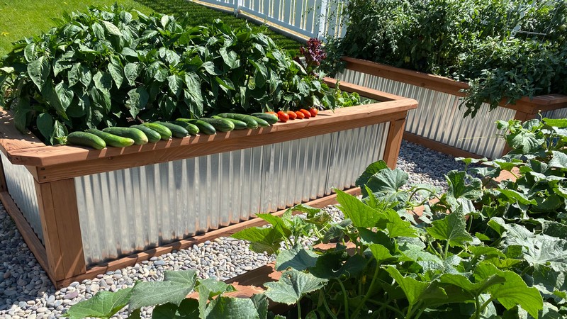 USU July gardening tips for heat management