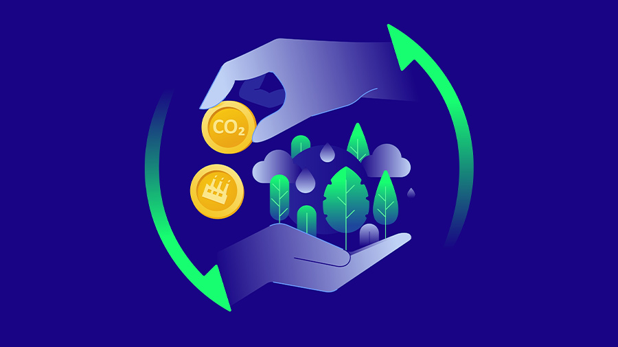 Vietnam Carbon Market