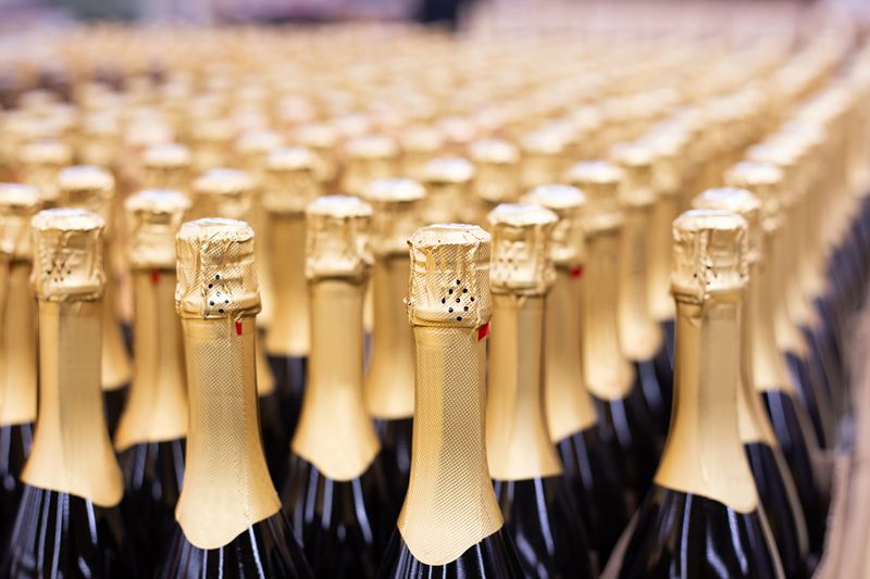 Champagne vineyards