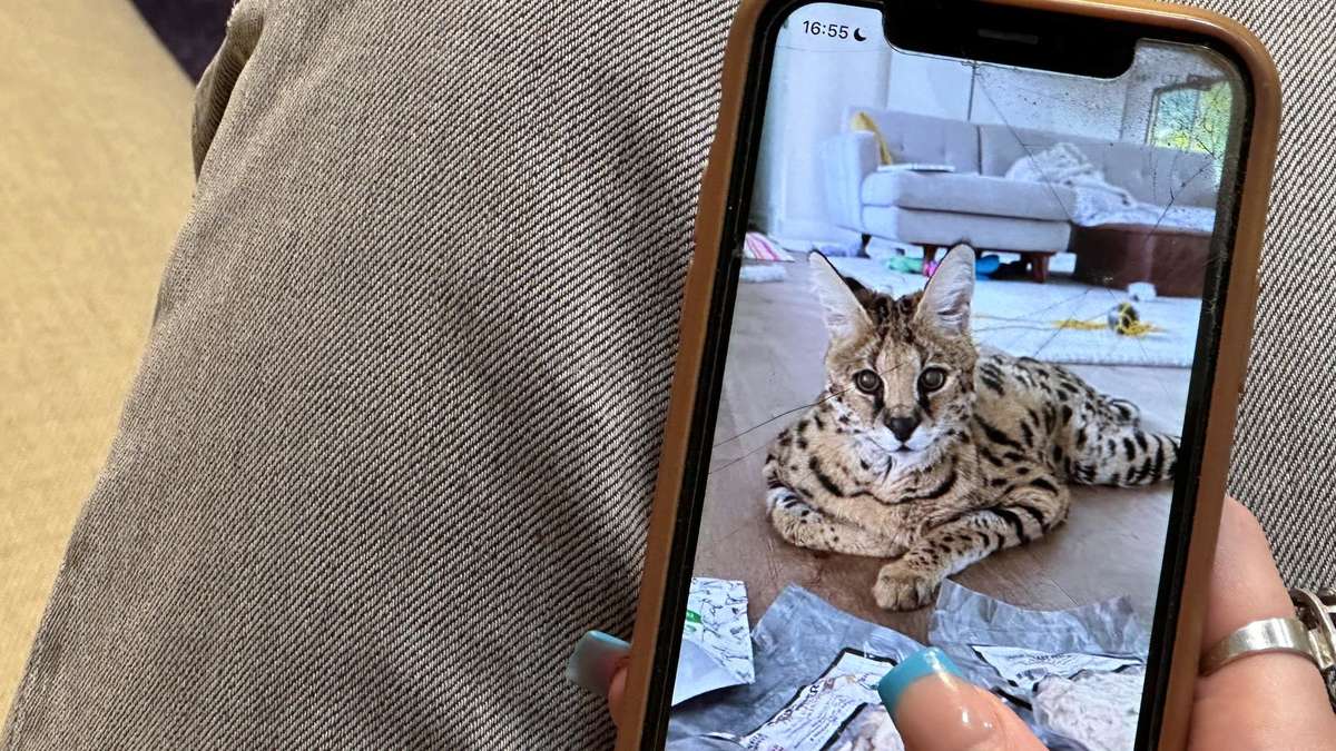 Woman watching exotic pet video on smartphone