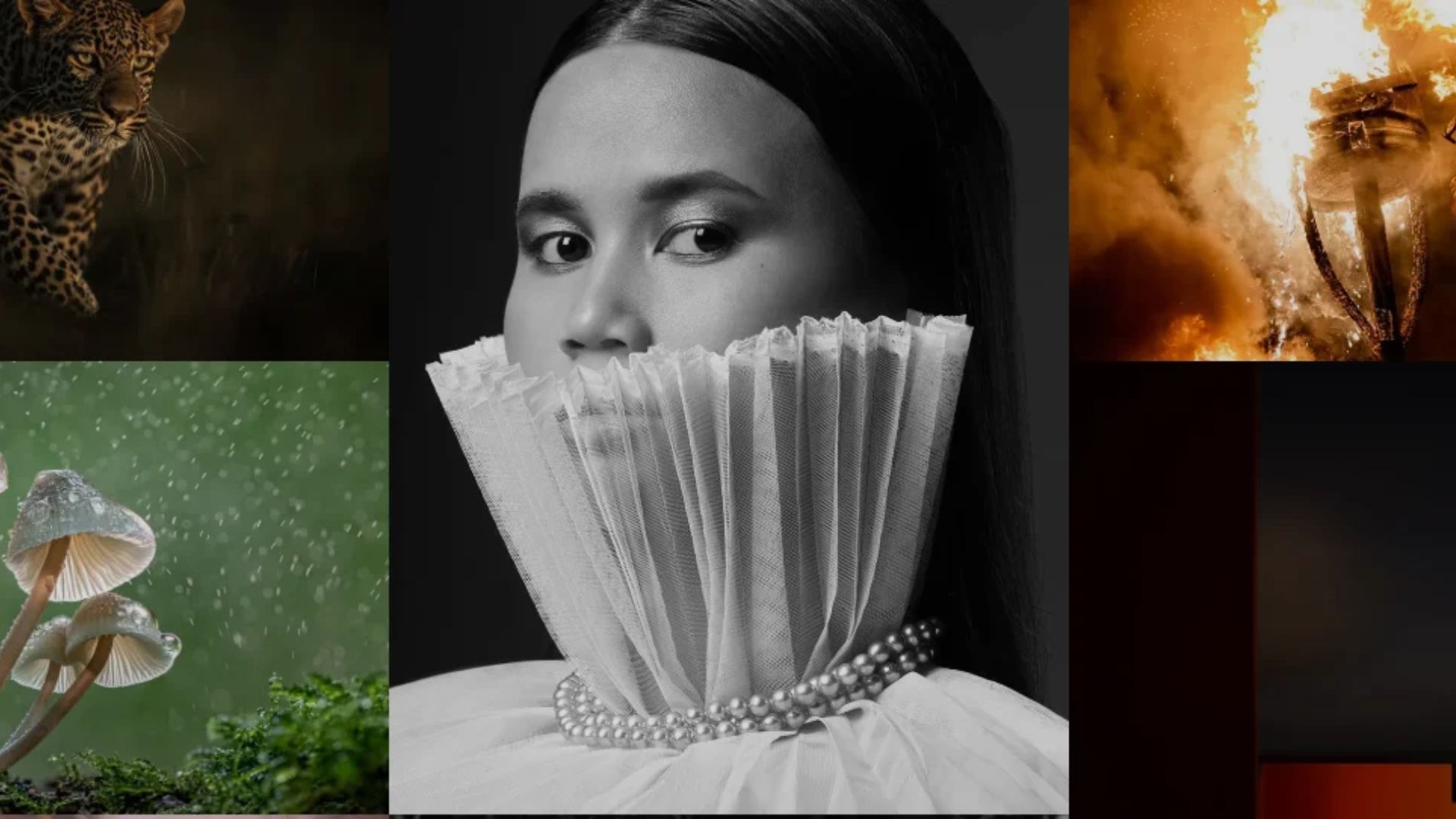 British Photography Awards 2026 opens public vote with 498 shortlisted images