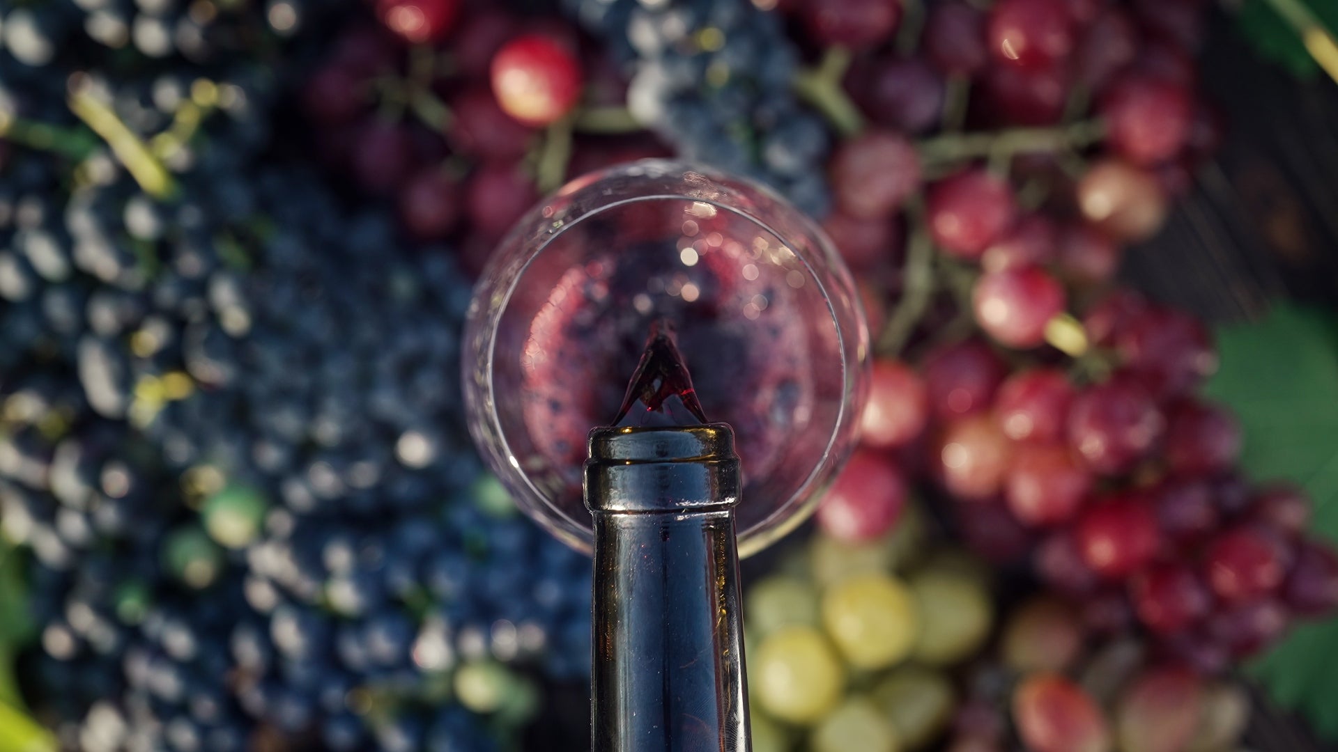 Tariff relief coverage — bottles of wine at the center of U.S. trade policy debates