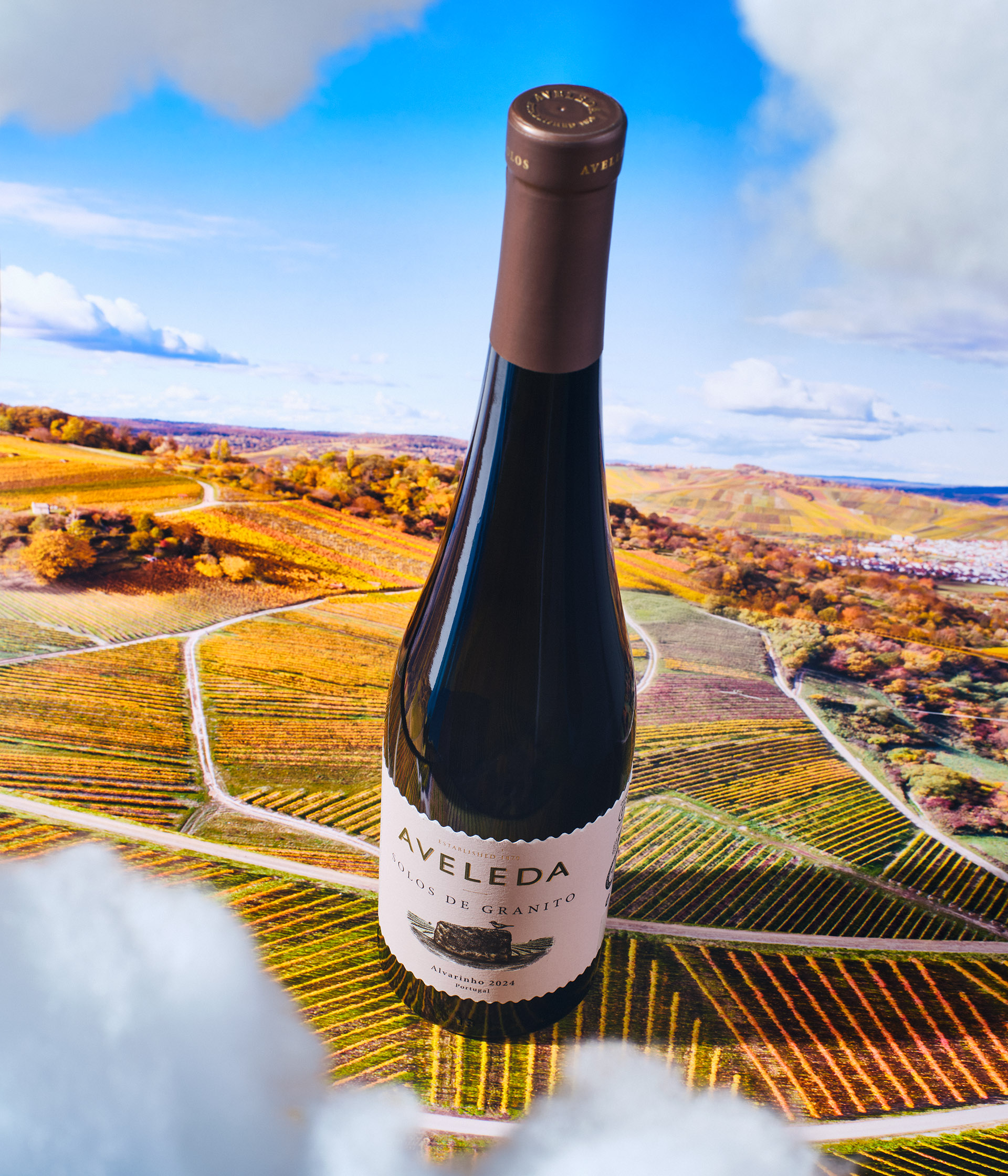 Wine Enthusiast's Best Buys 2026 inset imagery from its $20-and-under tasting