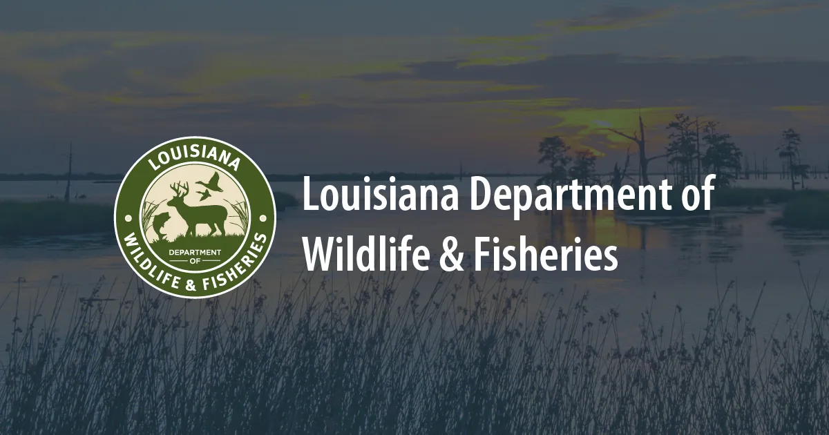 Louisiana Department of Wildlife and Fisheries shrimp season announcement