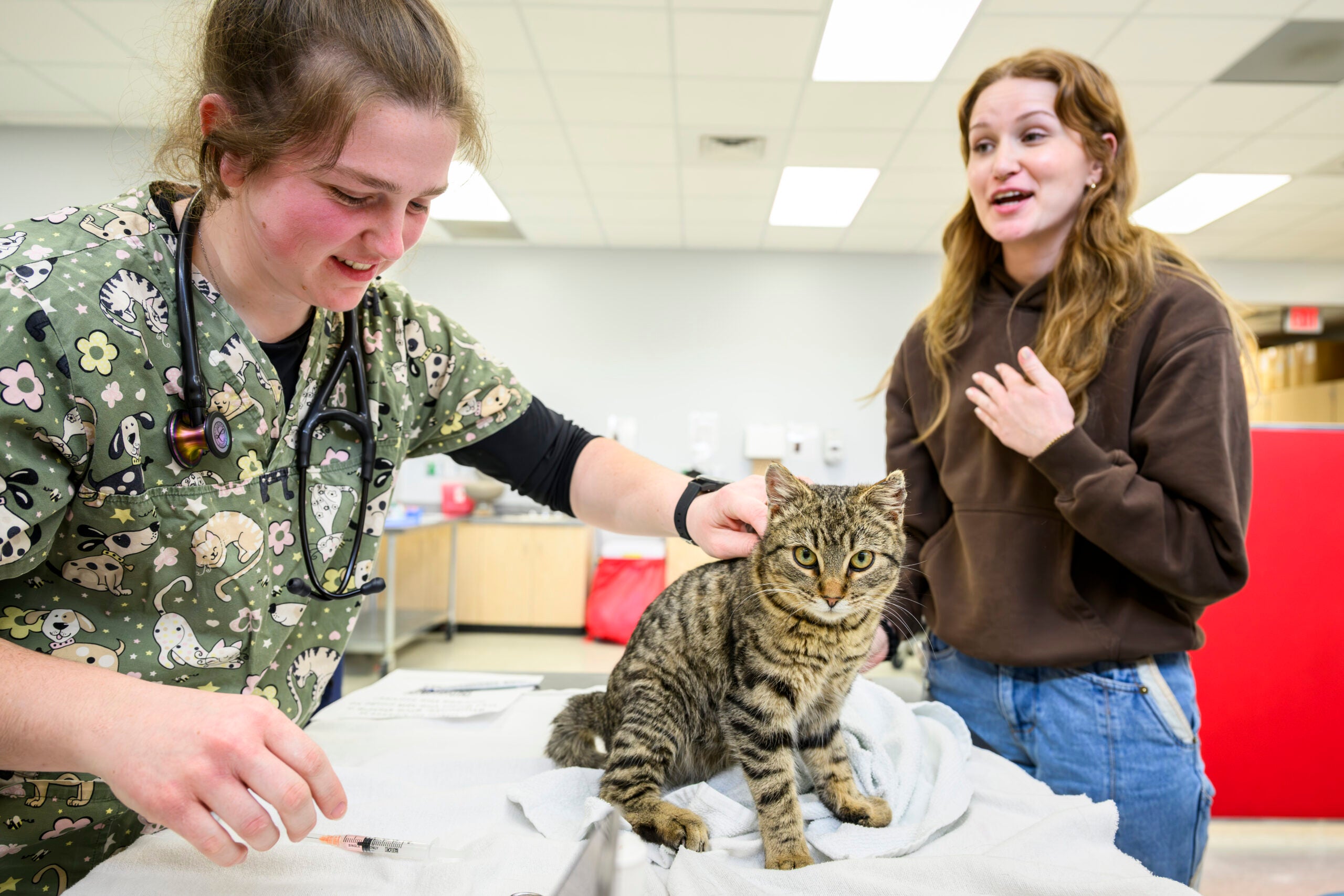 Rural Wisconsin counties face a critical shortage of veterinary care for farm animals and pets.