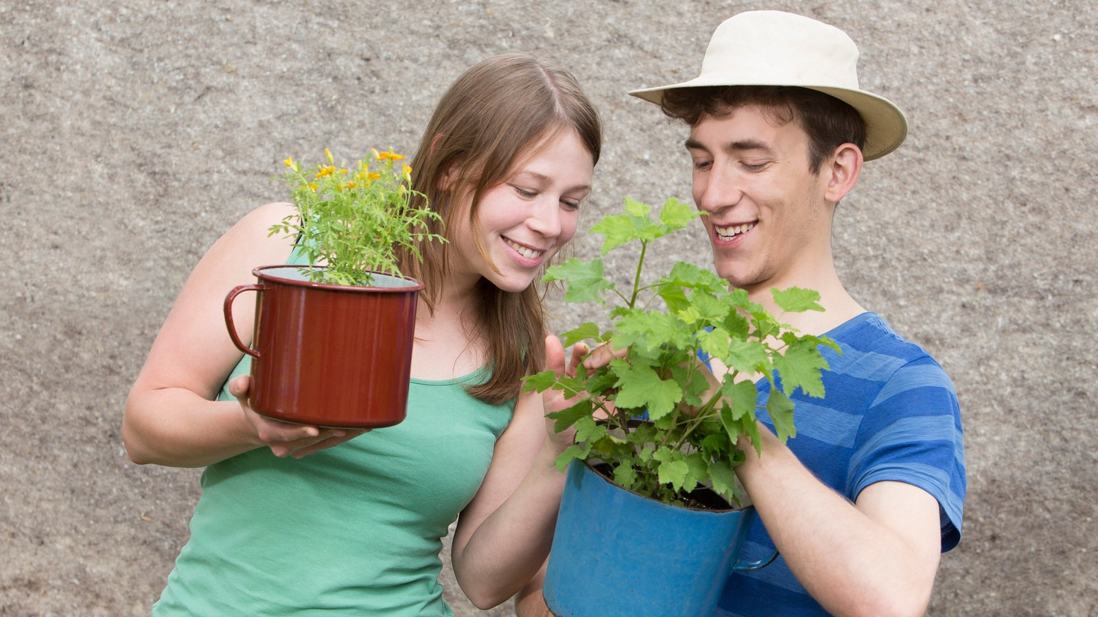 Community plant exchange gathering