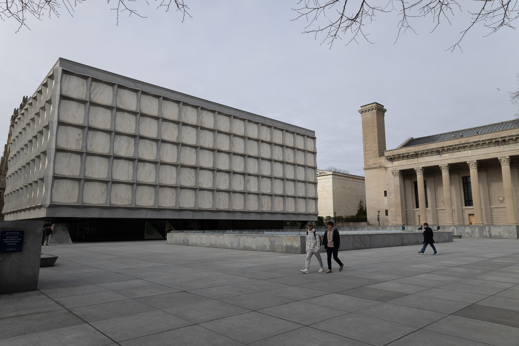 Yale protest policy scene on campus